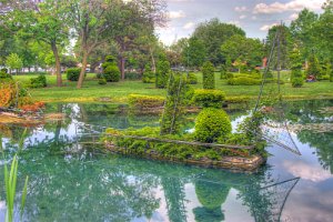 Topiary 1